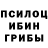 Псилоцибиновые грибы мухоморы Ar4iblood
