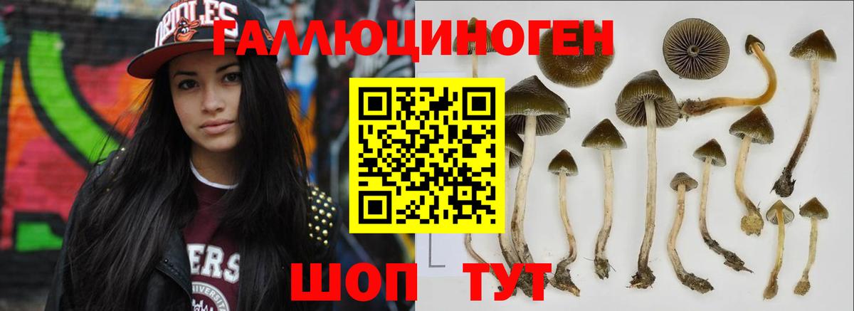Знаменск  Галлюциногенные грибы Magic Shrooms  Псилоцибиновые грибы Magic Shrooms  как найти закладки  Вход с VPN 